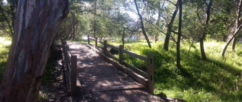 COMFORT INN COACH AND BUSHMANS - ACT Tourism 4