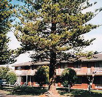 Eastern Beach Holiday Units - ACT Tourism
