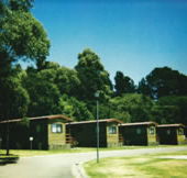 Katoomba Falls Caravan Park - ACT Tourism
