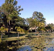 Twin Lakes Hotel - ACT Tourism