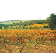 Byramgou Park - ACT Tourism