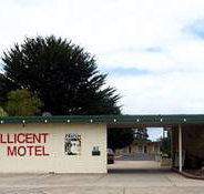 Millicent Motel - ACT Tourism