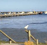 Seaview Motel and Holiday Units - ACT Tourism