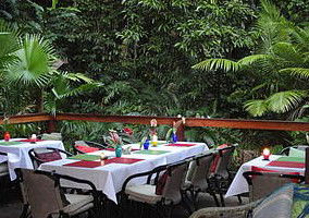 Daintree Rainforest Retreat Motel - ACT Tourism 1