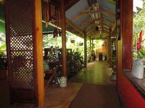 Daintree Rainforest Retreat Motel - ACT Tourism 2