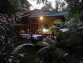 Daintree Rainforest Retreat Motel - ACT Tourism 4