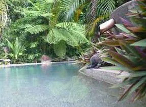 Daintree Rainforest Retreat Motel - ACT Tourism 5