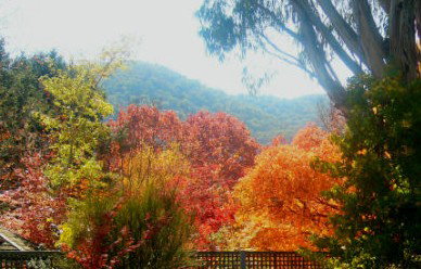 ELLENVALE HOLIDAY UNITS - ACT Tourism 1