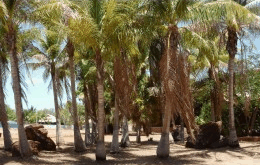 King Sound Resort Hotel - ACT Tourism