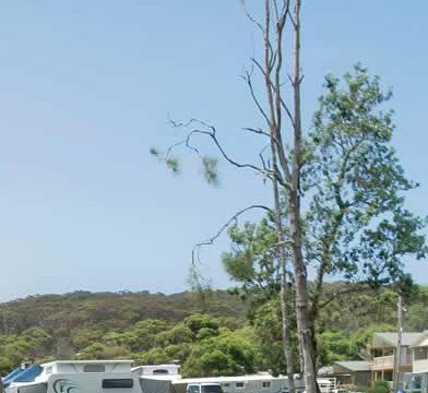 Merry Beach Caravan Park - ACT Tourism 2
