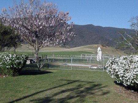 Araluen Old Courthouse - ACT Tourism 0