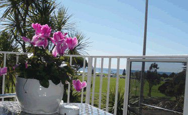 Beach Park Motor Inn - ACT Tourism 3