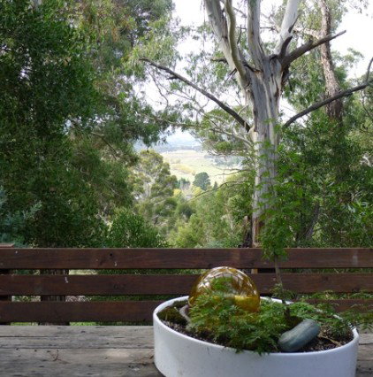 Pilot Wilderness NSW ACT Tourism