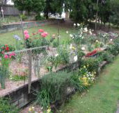 Kintail Homestay - ACT Tourism