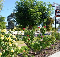 Narrogin Motel - ACT Tourism