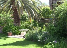 Nthaba Cottage - ACT Tourism 0
