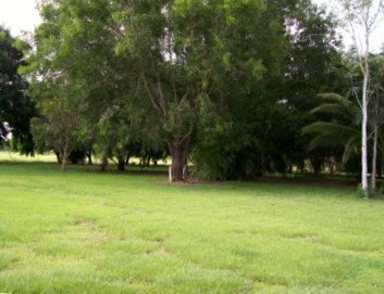 Daly River Mango Farm - ACT Tourism 1