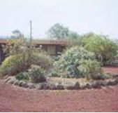 Beaufort Motel - ACT Tourism