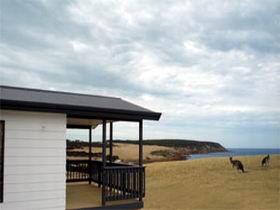 Waves And Wildlife - ACT Tourism 0