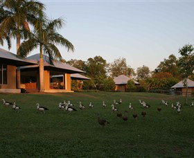 Jingili NT ACT Tourism