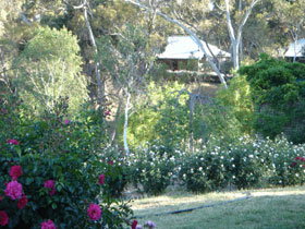 Watervale SA ACT Tourism