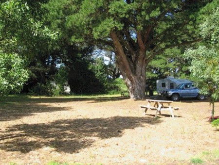 Millicent Hillview Caravan Park - ACT Tourism 1