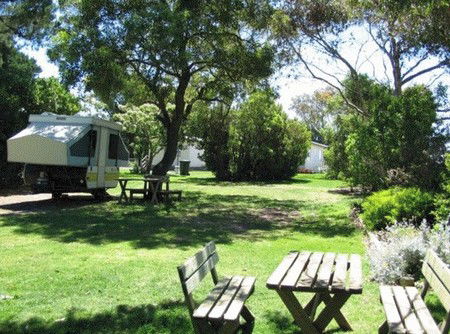 Millicent Hillview Caravan Park - ACT Tourism 3