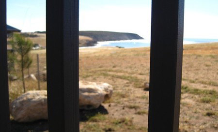 Waves And Wildlife - ACT Tourism 1