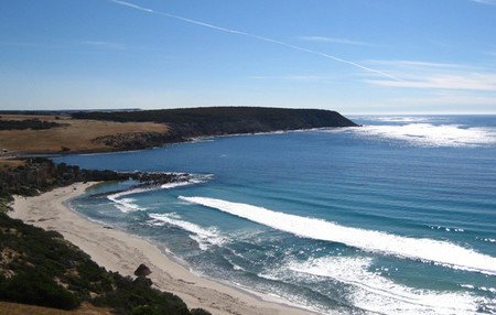 Waves And Wildlife - ACT Tourism 2