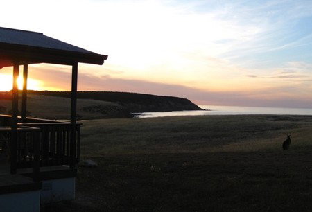 Waves And Wildlife - ACT Tourism 3