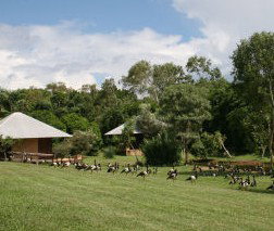 Feathers Sanctuary - ACT Tourism 3
