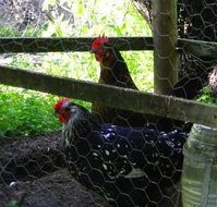 Norma's Place - ACT Tourism