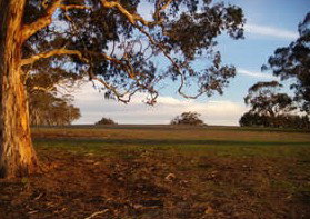 Mirrabooka Bed And Breakfast - ACT Tourism 1