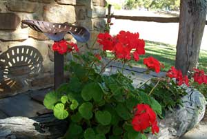 Adelaide Hills Country Cottages - Gum Tree Cottage - ACT Tourism 3