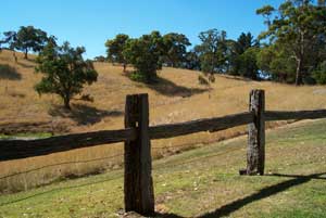 Adelaide Hills Country Cottages - Gum Tree Cottage - ACT Tourism 4