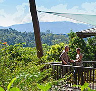 Rose Gums Wilderness Retreat - ACT Tourism