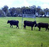 Cluan Homestead - The Managers Residence - ACT Tourism