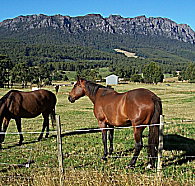 Hurlfield Farm Cottage - ACT Tourism
