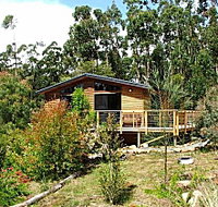 Southern Forest Accommodation - ACT Tourism