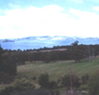 Waterview Gardens - ACT Tourism