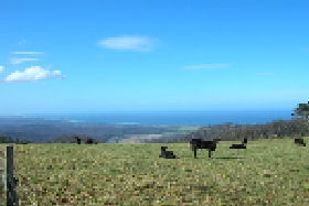 St Marys Seaview Farm - ACT Tourism 0