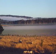 Fonthill - ACT Tourism