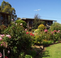 Mole Creek Holiday Village - ACT Tourism