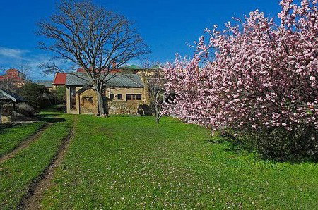 Forget-Me-Not Cottage - ACT Tourism 3