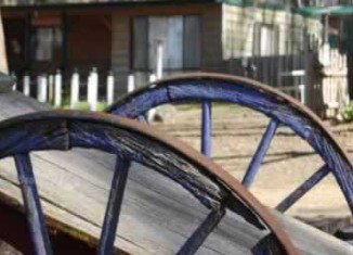 Gumleaves - ACT Tourism 2