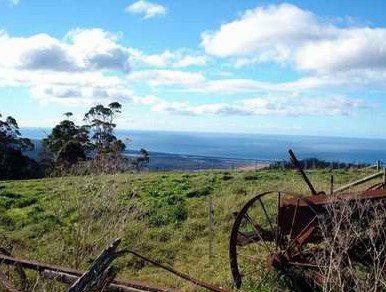 St Marys Seaview Farm - ACT Tourism 3