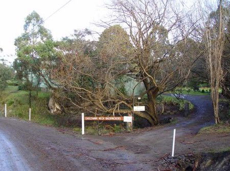 Eaglehawk Neck Backpackers - ACT Tourism 1