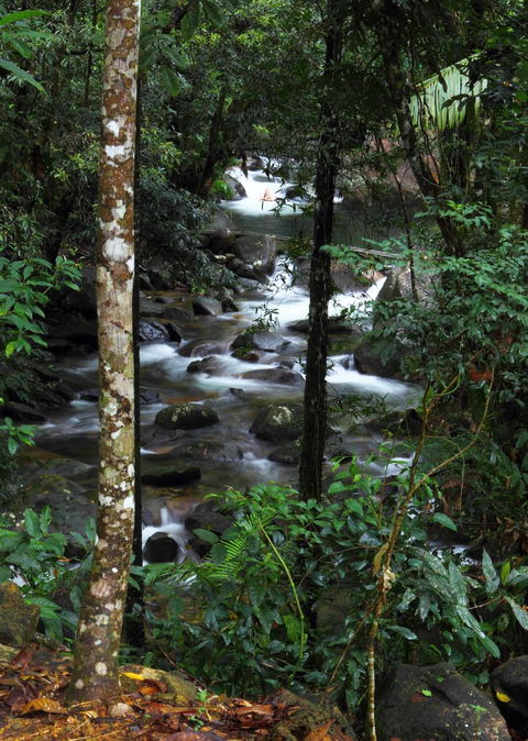 Daintree Secrets (Award Winning Retreat) - ACT Tourism 2