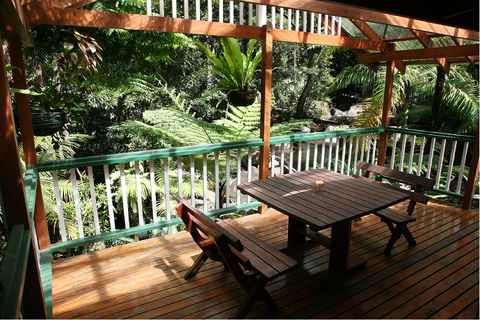 Daintree Secrets (Award Winning Retreat) - ACT Tourism 3