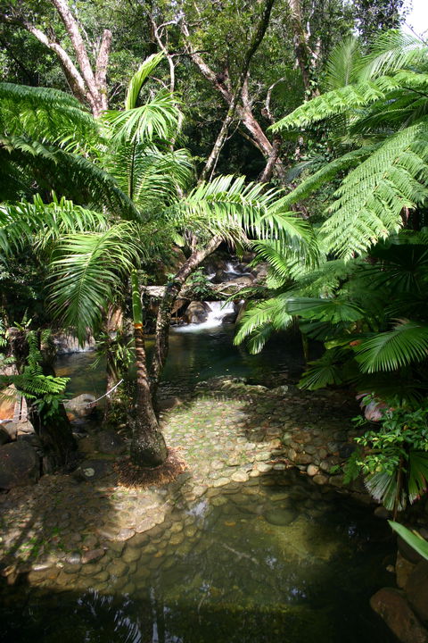 Daintree Secrets (Award Winning Retreat) - ACT Tourism 4